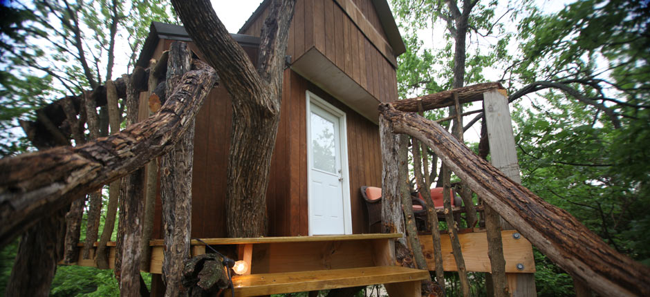Barn Owl Treehouse